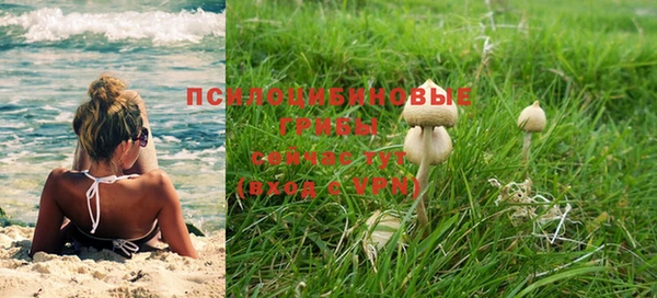 стафф Абдулино