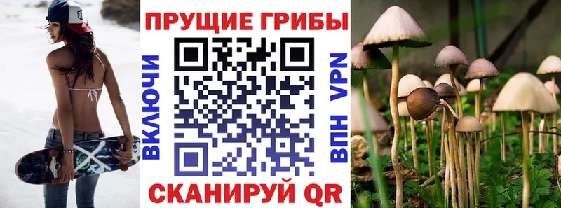 Псилоцибиновые грибы Psilocybe  где купить   Арсеньев 